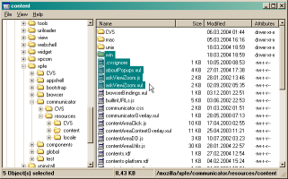 Screenshot of the YAReG application window